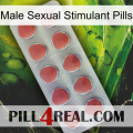 Male Sexual Stimulant Pills 18